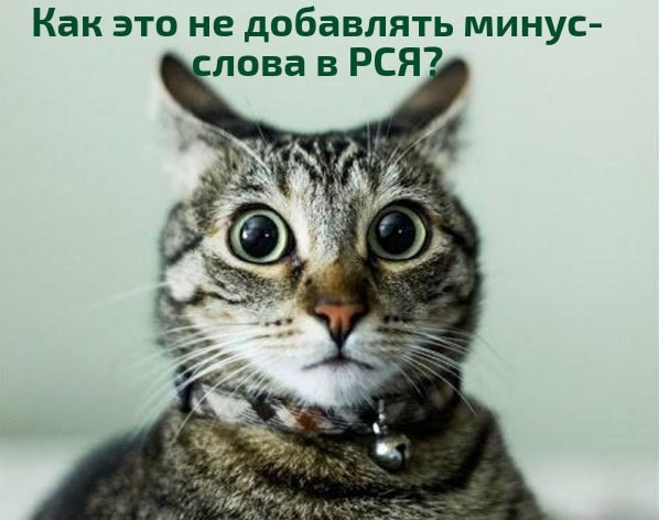 Использование минус-слов в РСЯ Использование минус-слов в РСЯ